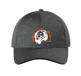 Aslan Graphite Heather 3D Logo hat