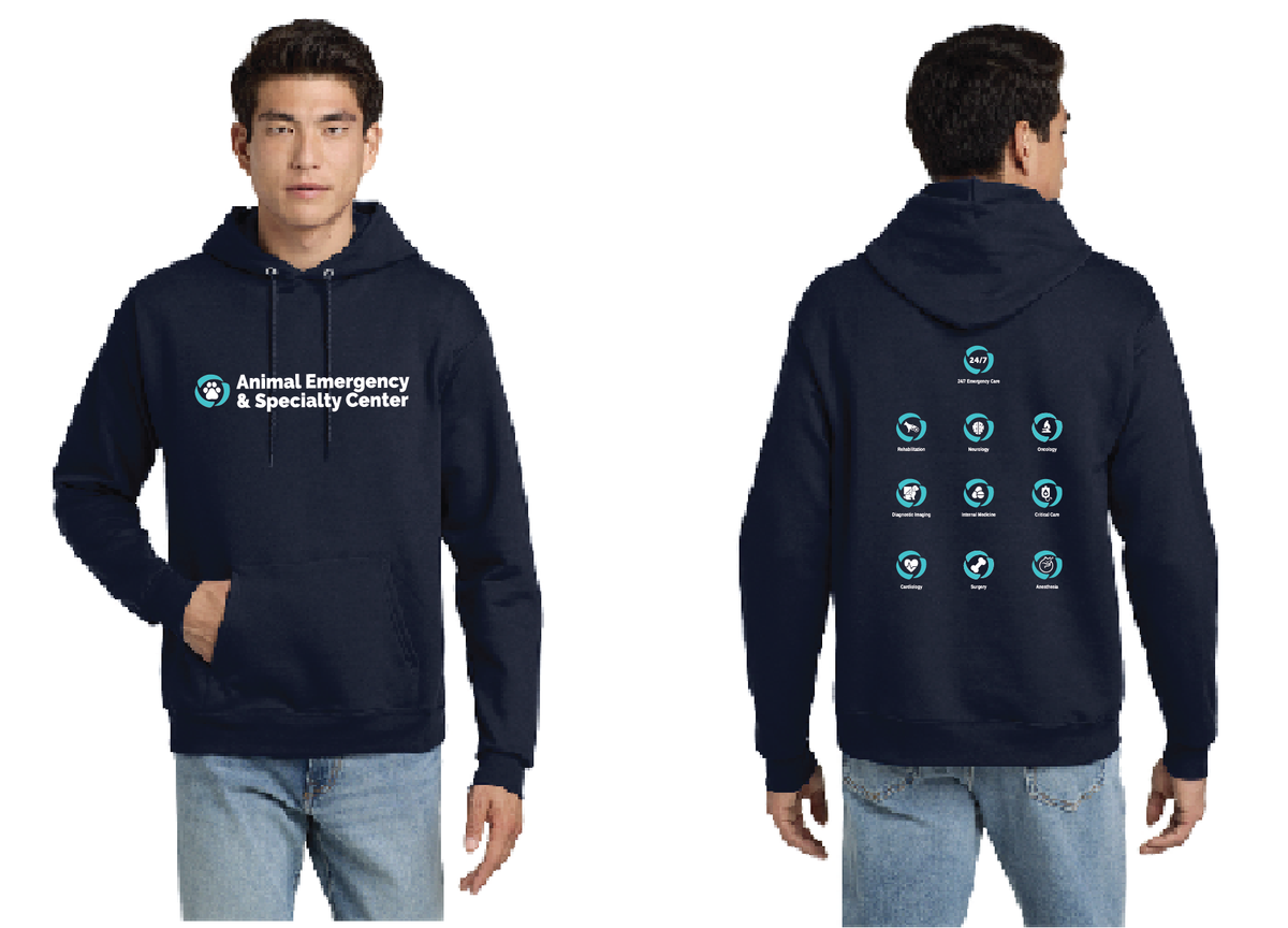 AESC Unisex 25 Hoodie