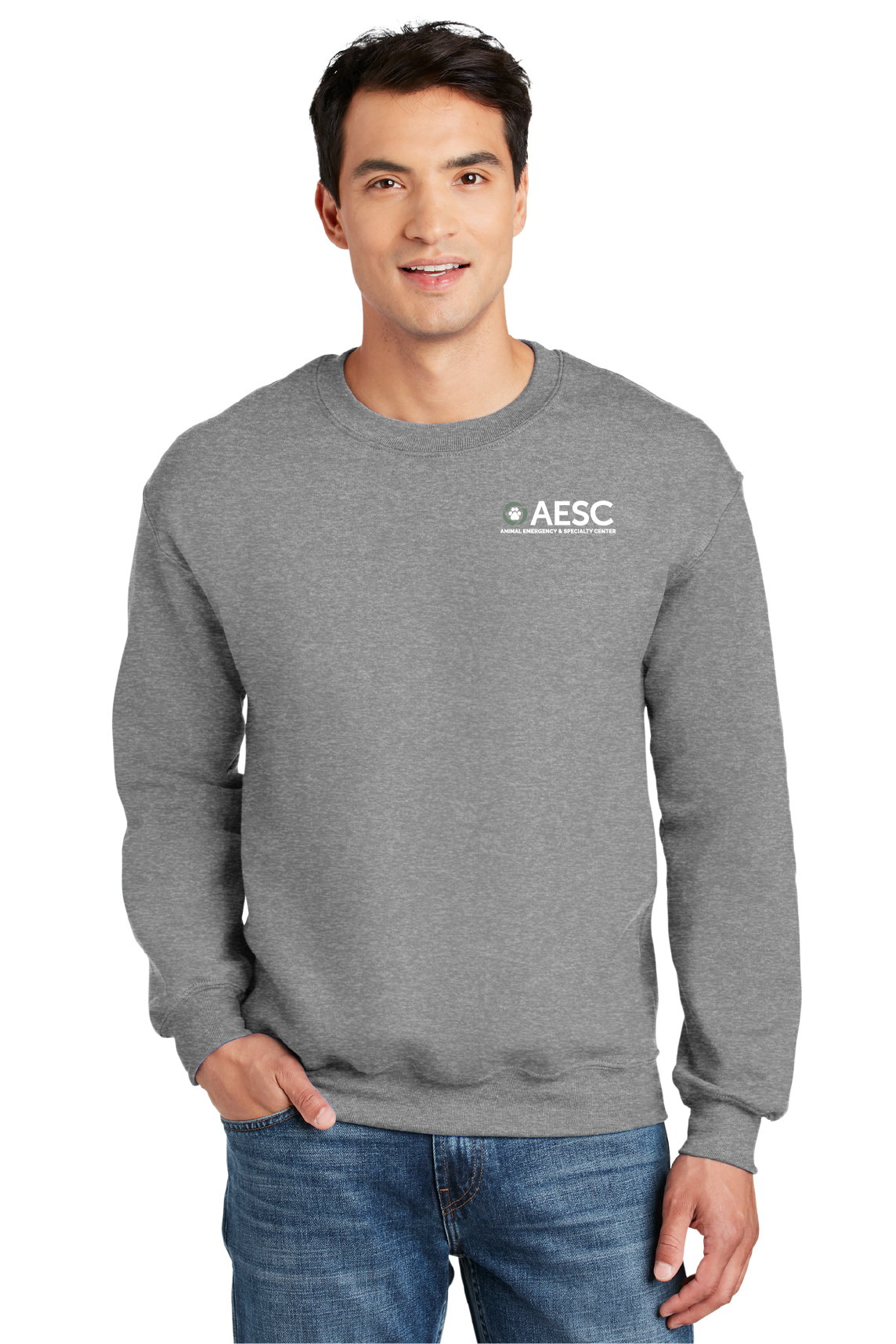 AESC Men’s Gildan Sweatshirt Sports Grey