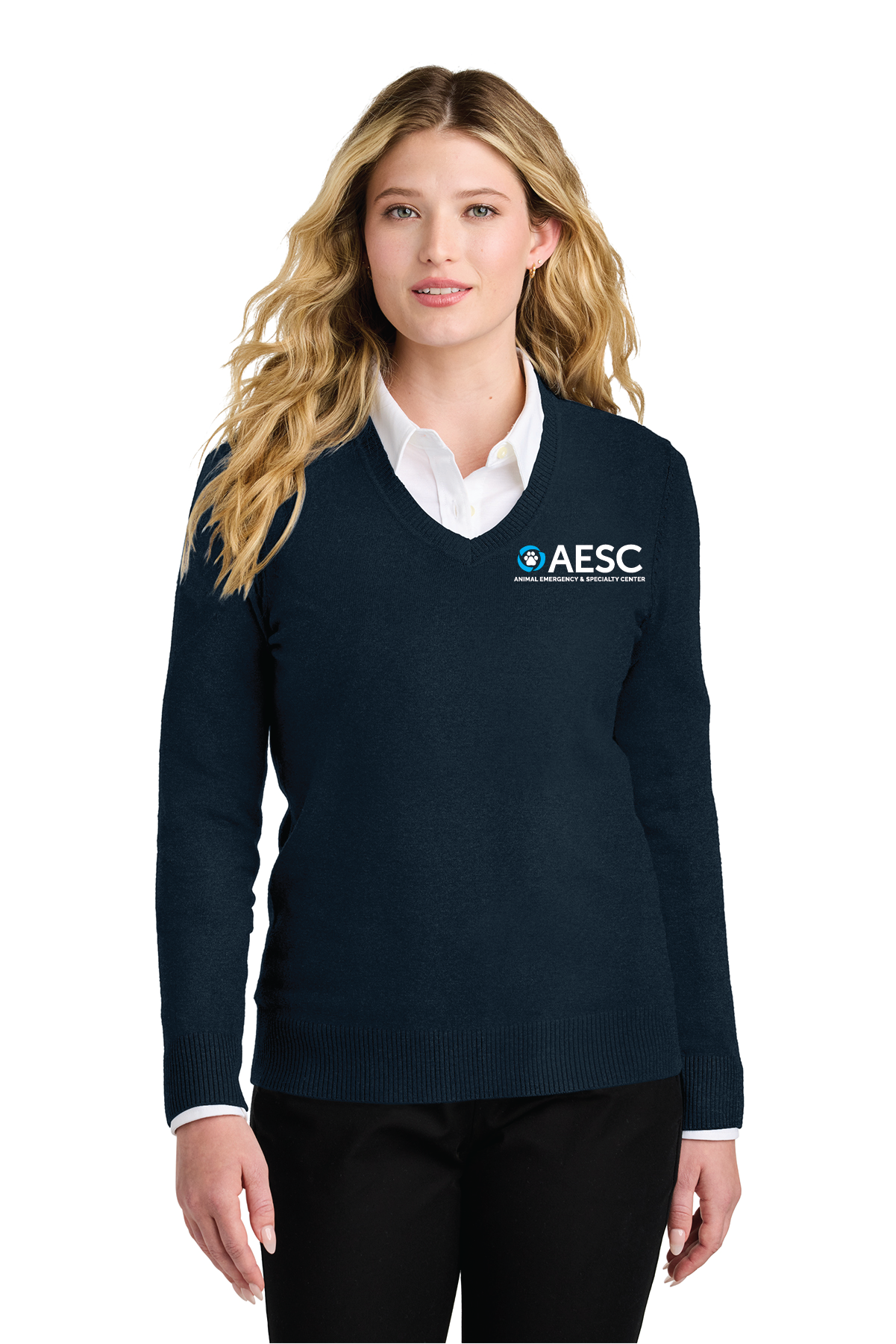 AESC Women’s Port Authority Easy Care V-Neck Sweater