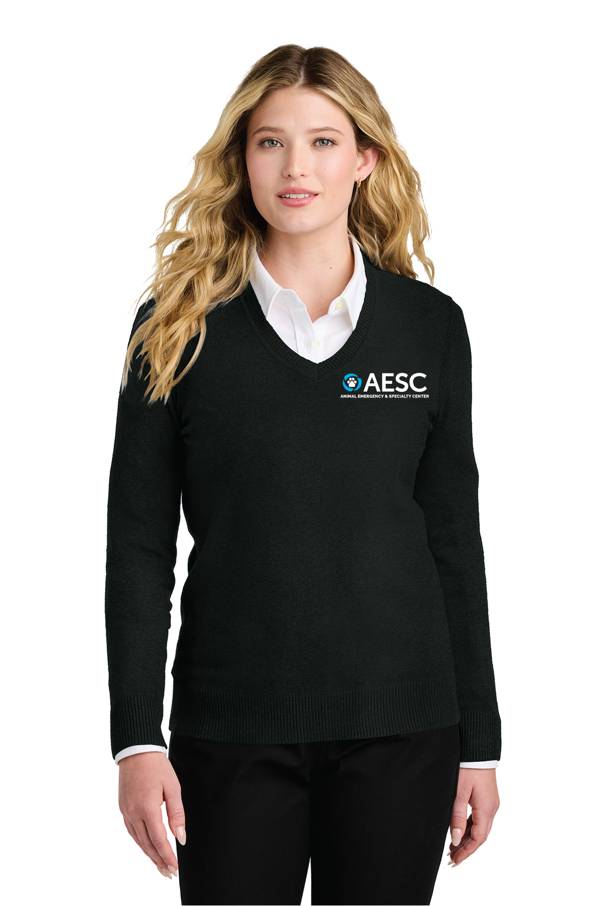 AESC Women’s Port Authority Easy Care V-Neck Sweater