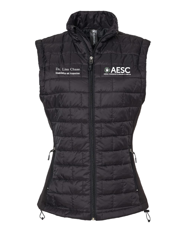 AESC Women's Elemental Puffer Vest